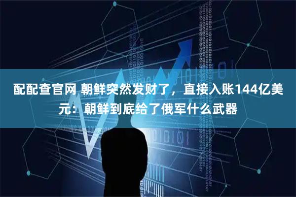 配配查官网 朝鲜突然发财了，直接入账144亿美元：朝鲜到底给了俄军什么武器
